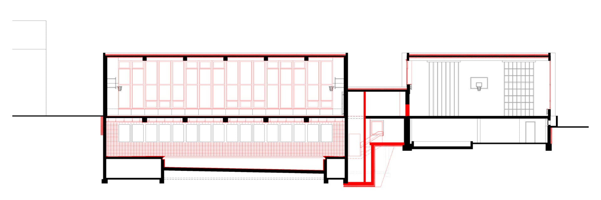 longitudinal section