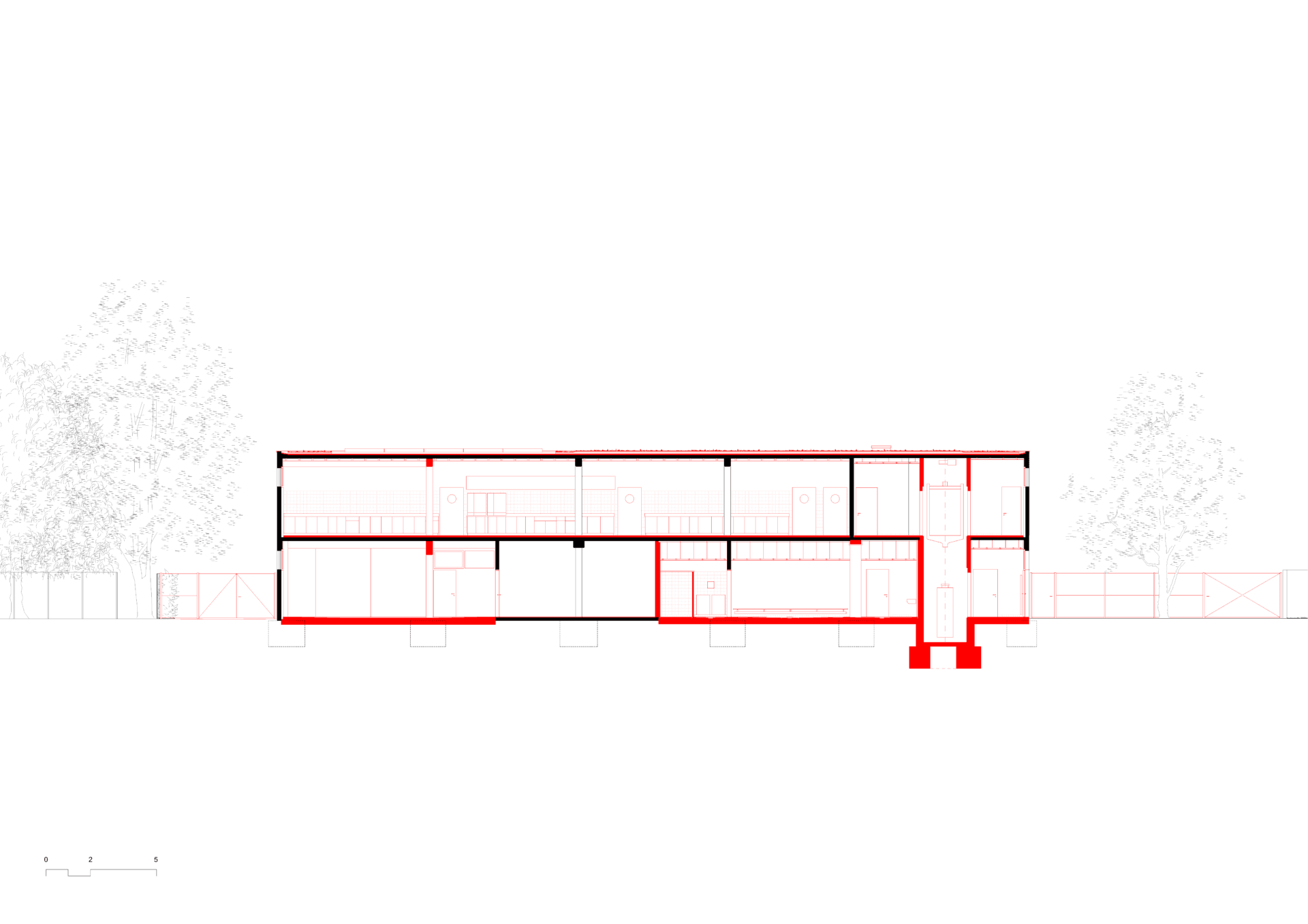 Longitudinal section