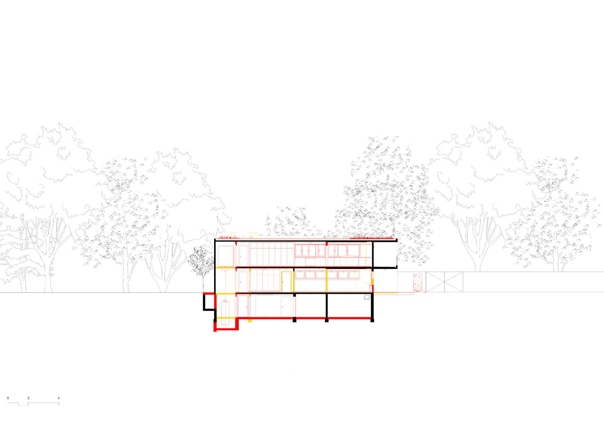 Longitudinal section