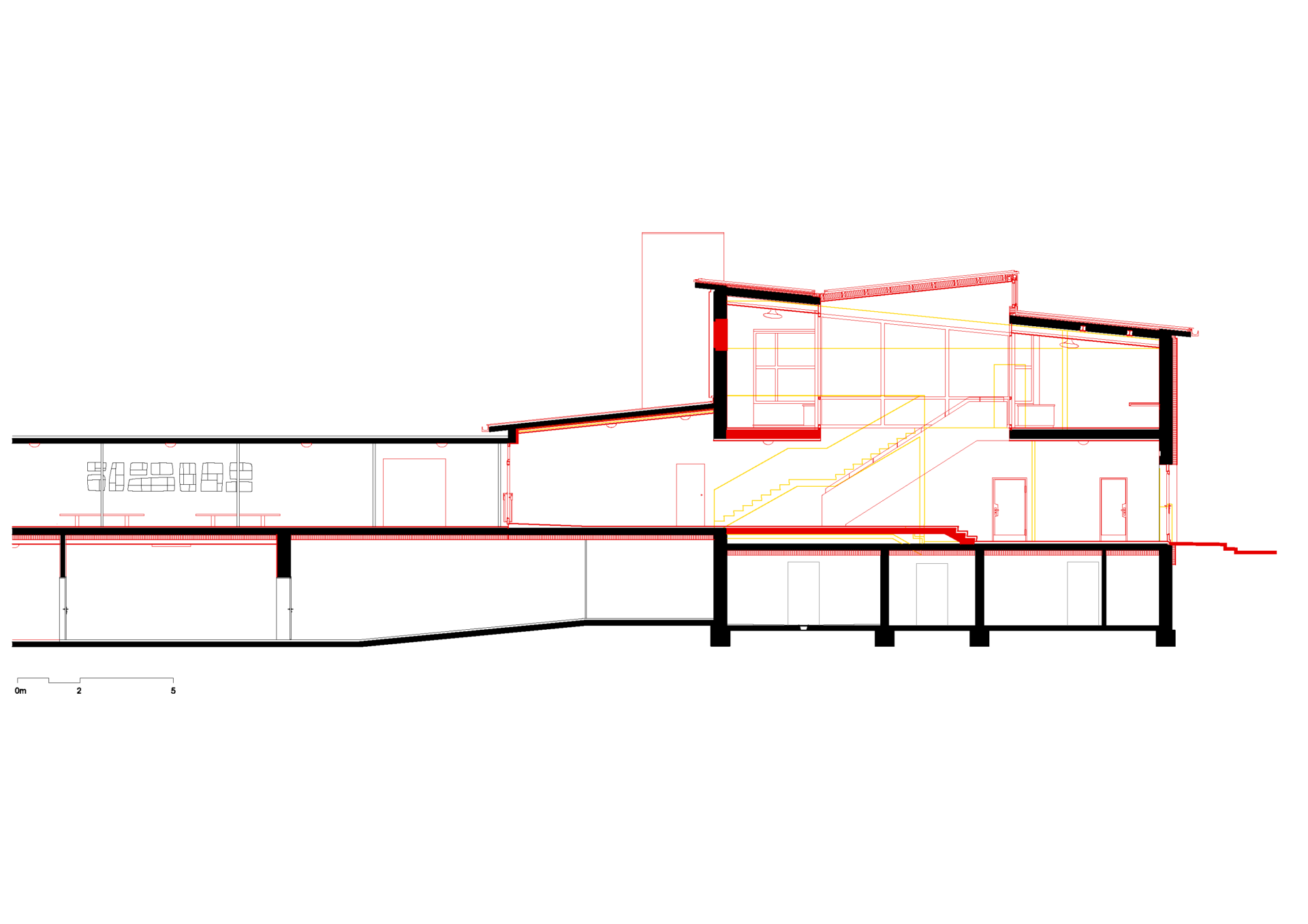 longitudinal section